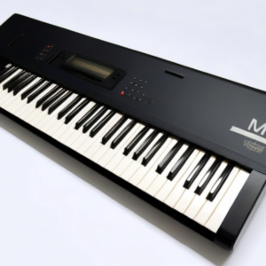 SYNK Korgm1 1 AACh 3